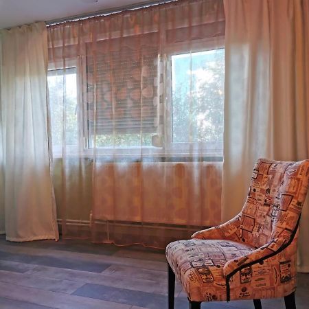 Chic Apartment Brăila エクステリア 写真