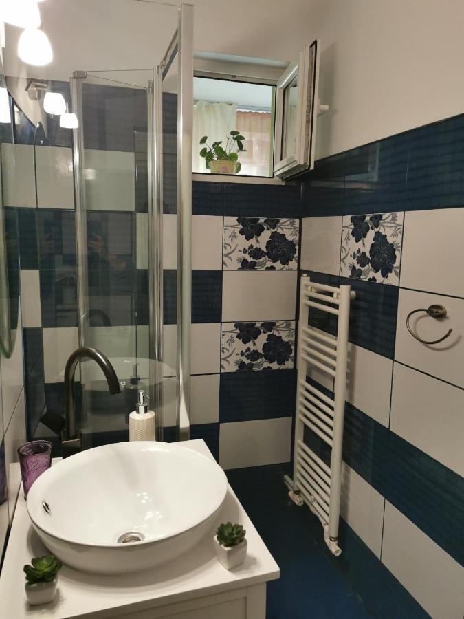 Chic Apartment Brăila エクステリア 写真