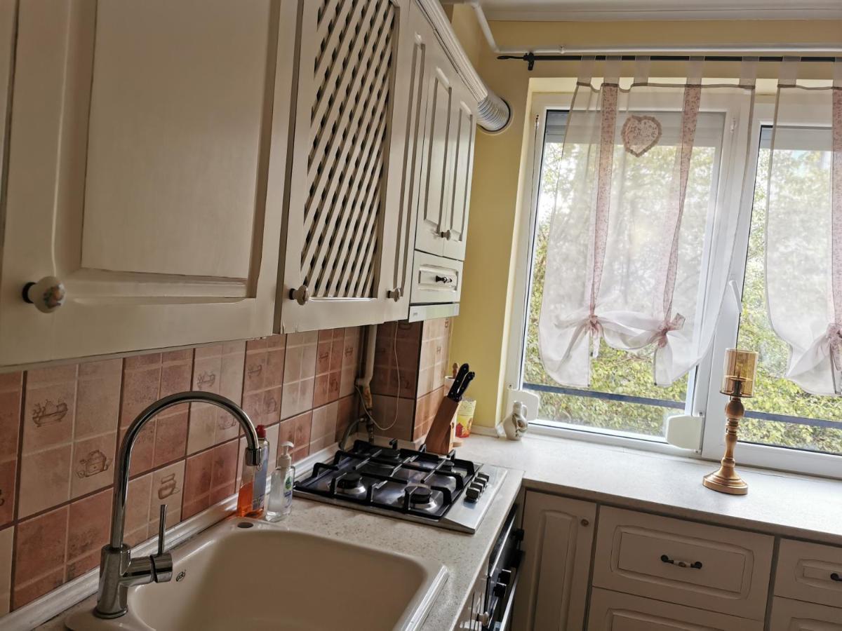 Chic Apartment Brăila エクステリア 写真