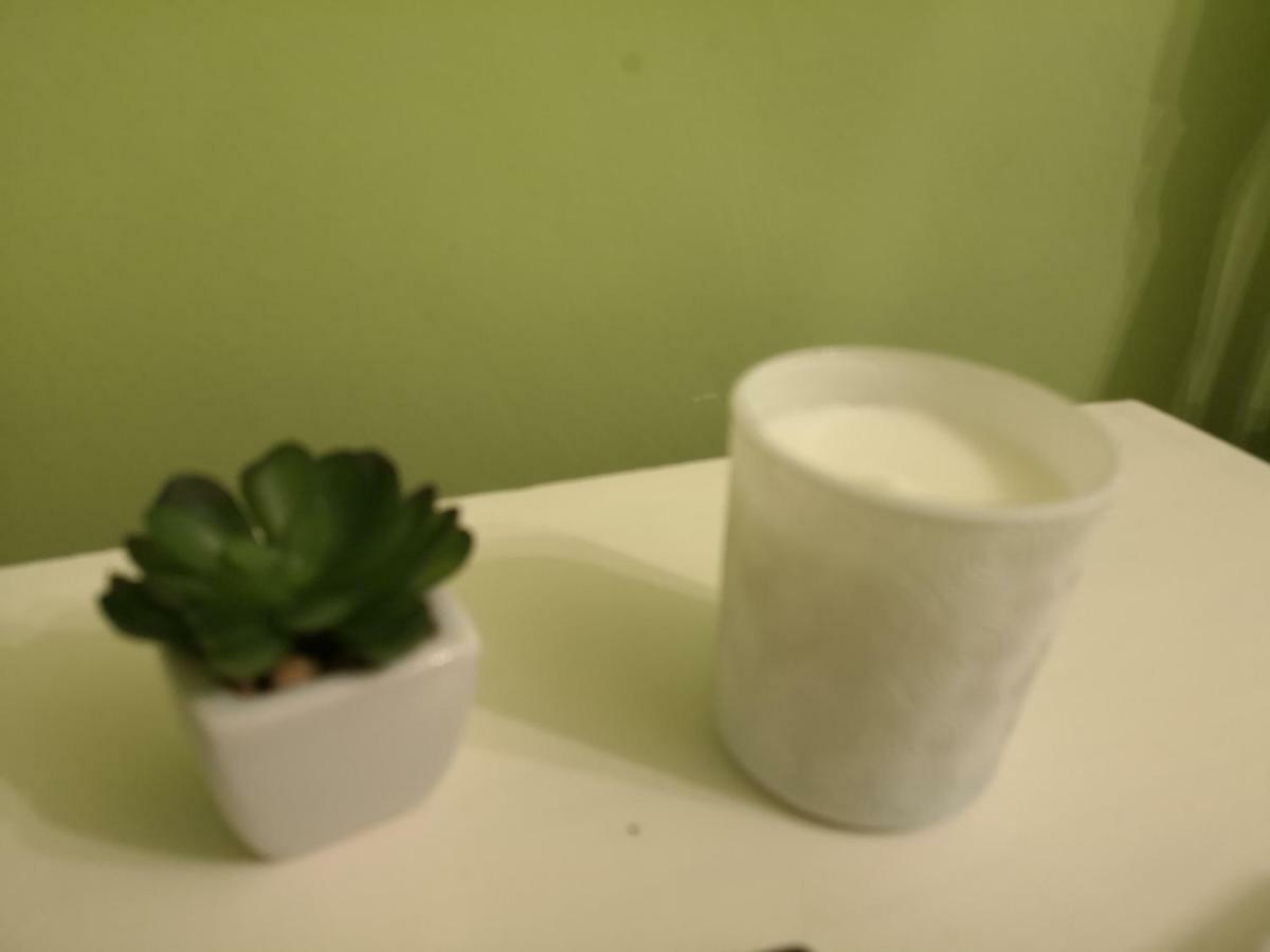 Chic Apartment Brăila エクステリア 写真