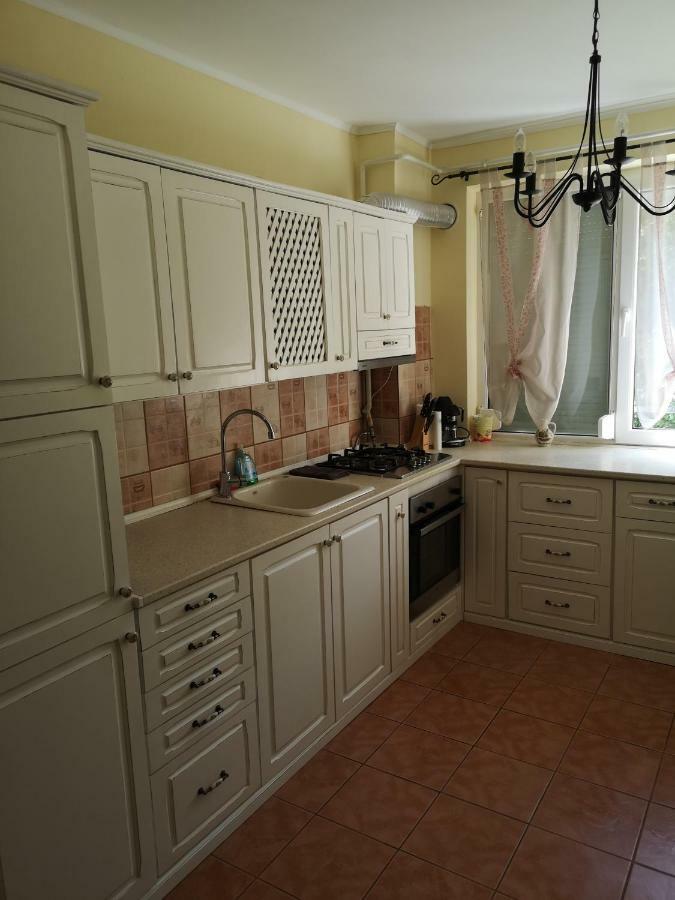 Chic Apartment Brăila エクステリア 写真